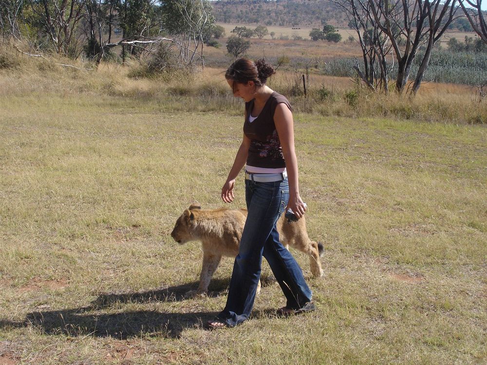 Abloom Bush Lodge & Spa Retreat Cullinan Kültér fotó